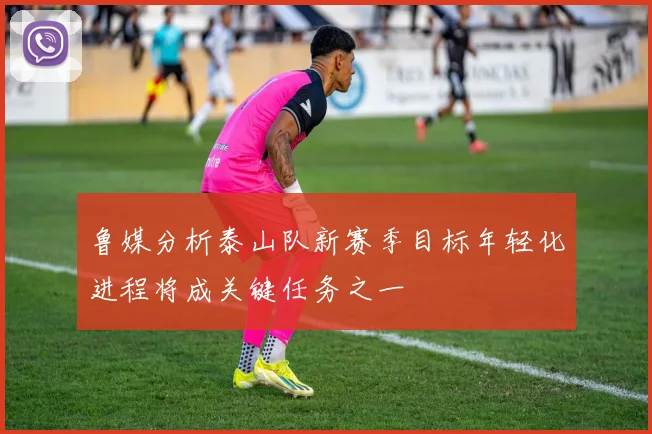 鲁媒分析泰山队新赛季目标年轻化进程将成关键任务之一