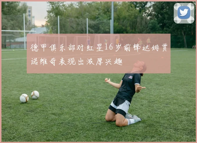 德甲俱乐部对红星16岁前锋达姆贾诺维奇表现出浓厚兴趣