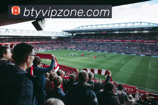 B体育平台生态图